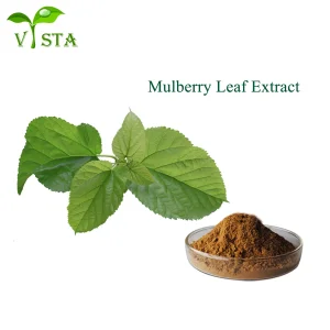 Suplemento de Salud Natural Extracto Herbal Extracto de Hoja de Morera 0.5%-10% 1-Deoxynojirimycin (1-DNJ) Polvo