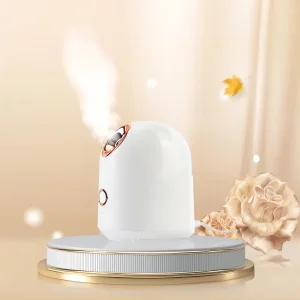 Vapozone Warm Steam