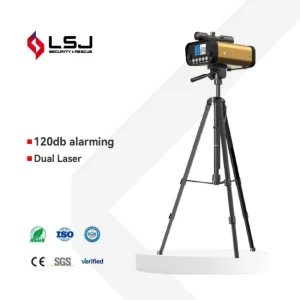 Real-Time Displacement Measurement System for Structural Integrity Analysis
