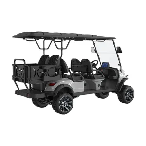 Hot Sale 6 Seater Gorgeous Golf Kart