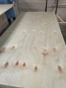 1/2" 3/4" 7/16" CDX Rough Pine Plywood for Roofing &amp; Construction Structural