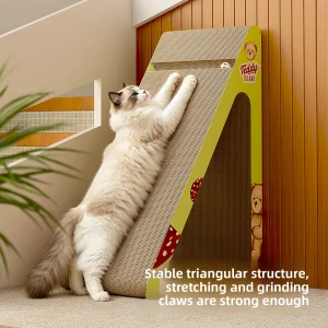 Cat Toy