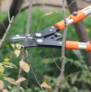 Wholesale Shark Mouth Anvil Pruner Ergonomic Grip Heavy Duty Tree Pruning Shears for Landscaping &amp; Farm