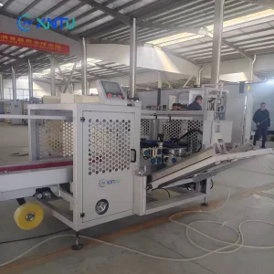 Fully Automatic Carton Box Packing Machine with High Efficiency