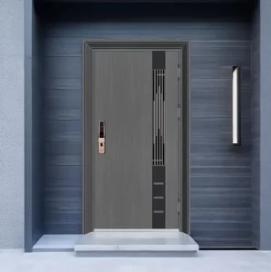 Modern Security Door