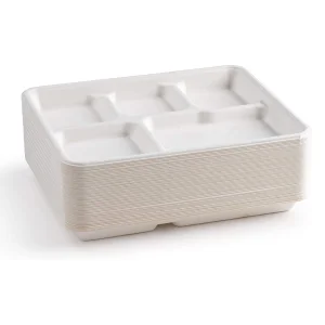 Compostable 5 Compartment Plates