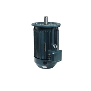 Ferrite Assisted Synchronous Reluctance Motor