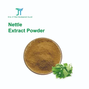 Nettle Extract Powder