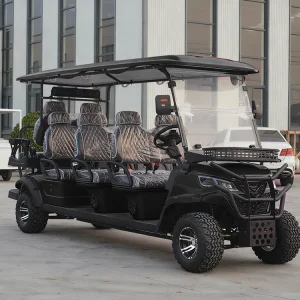 Customizable Quiet Operation Black Electric Golf Cart