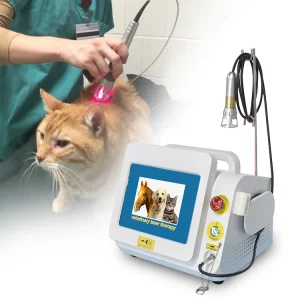 Class IV Laser Physiotherapy Device 980nm Therapy Veterinary Vet Laser Equipment