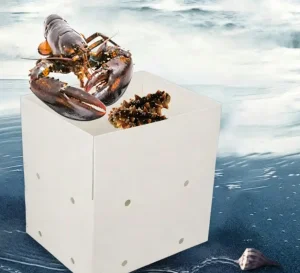 PP Corrugated Plastic Box for Agriculture Packing Box and Seafood Packing Box