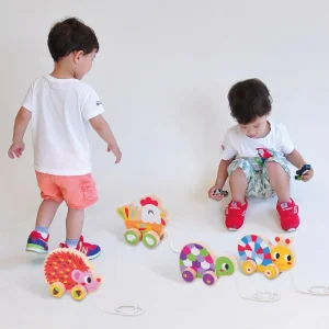 Montessori Toys Animal Shape Wooden Hedgehog Pull Along Toy