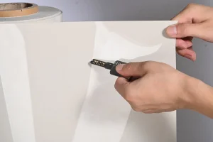 China Suppliers PET/G GAG Decorative Films
