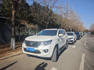 Cheap Price Auto Dongfeng Customized China Golf Clubs Set Ute Canopy Replacement Parts with GS