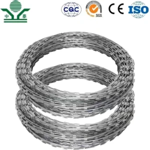 Good Galvanized Cbt-65 Razor Barbed Wire Concertina Wire for Fencing