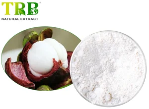 China Mangosteen Juice Powder