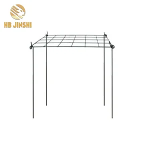 Metal Wire Garden Plant Support