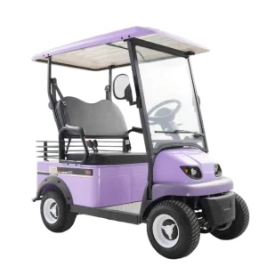 Easy to Operate Quiet Operation Campus Commuting Construction Site Transport 2 Seater Golf Cart Electric Golf Cart