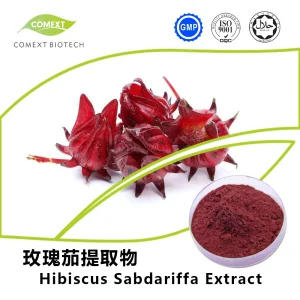 Extrato em Pó de Flor de Hibisco Sabdariffa