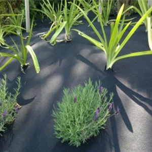 Heavy-Duty 100G/M2 Weather-Resistant Garden Fabric for Outdoor Use