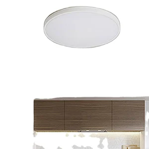 Dustproof Anti-Mosquito Ceiling LED Light
