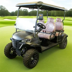 Aprobar CE Premium de Alta Calidad 4 Carrito de Golf Eléctrico con Batería de Litio 105ah LFP 4kw Motor de CA Suspensión de Doble Brazo
