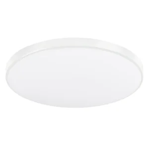 High Quality Modern LED Black Shell Round Ceiling Light