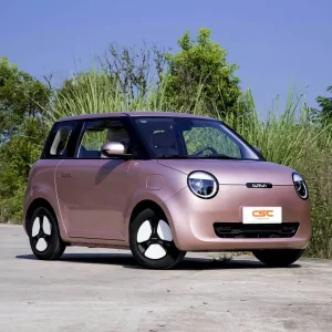 Vehículo compacto eléctrico puro de alto rendimiento Changan Lumin Mini