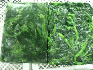 Espinaca congelada Bqf hoja de espinaca