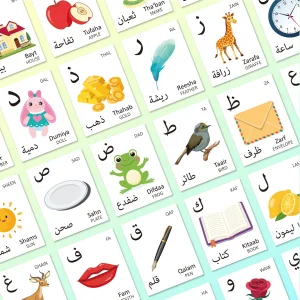 Bilingual Flash Cards