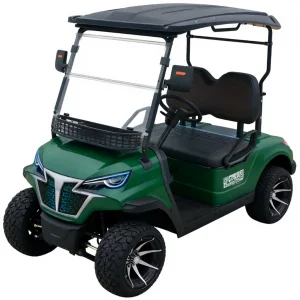 Intelligent 2 Seater Golf Cart