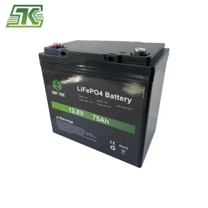 Solar/Agv/Forklift Battery with Can/RS485/RS232 with Long Life Span 48V 50ah 75ah 100ah 120ah 150ah 200ah 260ah Solar Energy Storage Lithium UPS LiFePO4