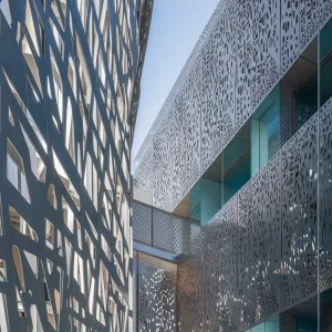 Customized Modern Commercial Aluminum Exterior Wall Cladding Panels Building Facade Systems