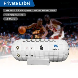 Portable Hyperbaric Oxygen Chamber Hbot 2.0ATA Medical Device for Home Clinic Gym Spa Office Use Manufacture Supply No Middleman