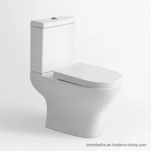 Africa Small Slim Tank Bathroom Ceramic Sanitary Ware Two Piece Wc Close Coupled Water Closet Toilet with Bidet Bowl Seat Cover