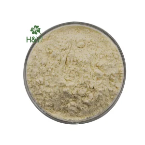 Heathway Supply High Quality Mung Bean Protein Isolate Powder Organic