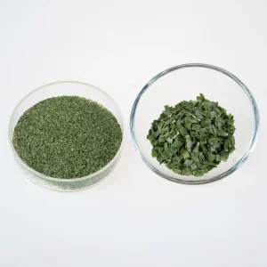 Cebolinha Desidratada Flocos de Cebolinha Alho-poró Cebola Verde Vegetal Seco