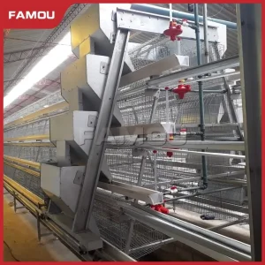 Poultry Feeding System