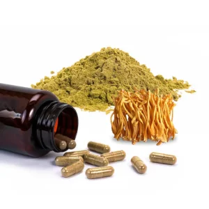 Cordyceps Extract Capsules