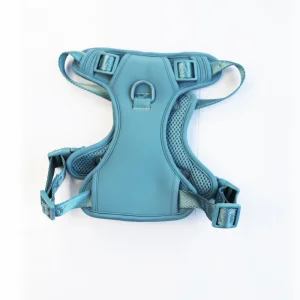 Personalized Pet Harness Set