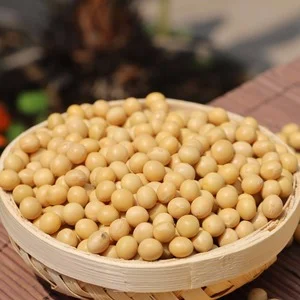 Non-GMO Dried Yellow Soybeans Organic Certified Nutritious Plant-Based Protein Source