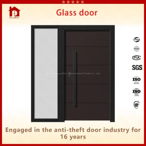 Residential Glass Door
