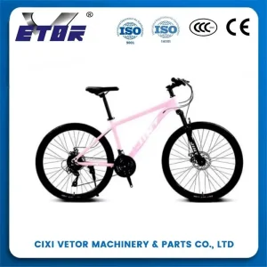 China 24-inch aluminum alloy mountain bike
