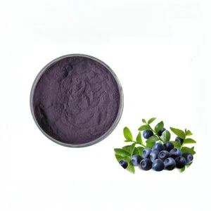 Higher Quality Natural Fruit Powder Bilberry Extract with 25% Anthocyanidins 36% Anthocyanins