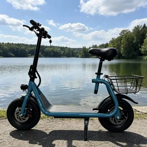 Electric Scooter C10