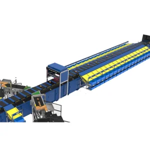 Automated Parcel Warehouse Sorting Line