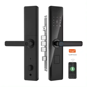 Biometric Digital Lock