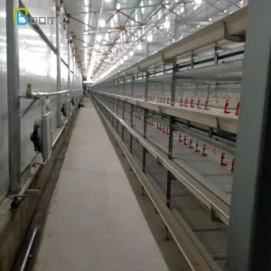 Industrial Poultry Farming Battery Farm Cage