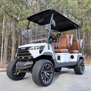 Cheap Price Electric Golf Cart 4 Seater Buggy Club Car Aluminum Frame Fast Delivery Wholesale Available 50-70km/h 50-70km