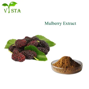 Extrato de Planta Forte Antioxidante